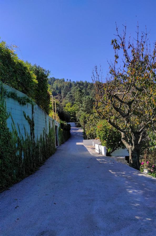 Pera Da Serra - Turismo No Espaco Rural Lousã Exteriör bild